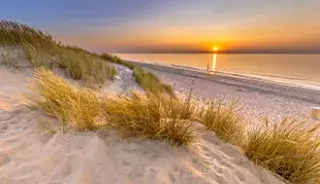 La dune Dameland