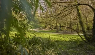 La forêt de Brocéliande