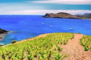 La côte Vermeille
