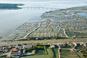 Le bassin de Marennes-Oléron